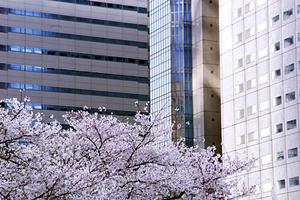 多摩市で実現する高気密高断熱住宅の魅力と最新施工事例2026年