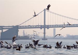 岡山のリフォーム工事ならここへ